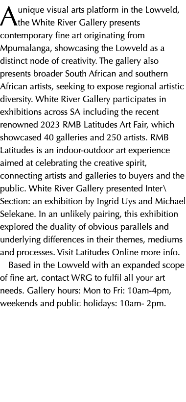 A unique visual arts platform in the Lowveld, the White River Gallery presents contemporary fine art originating from...