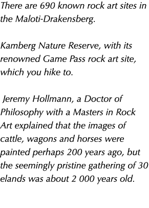 There are 690 known rock art sites in the Maloti Drakensberg. Kamberg Nature Reserve, with its renowned Game Pass roc...