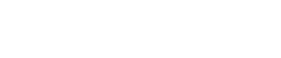 Kruger Shalati and the Train on the Bridge Words Nicky McArthur