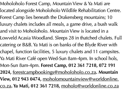 Moholoholo Forest Camp, Mountain View & Ya Mati are located alongside Moholoholo Wildlife Rehabilitation Centre. Fore...