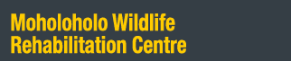 Moholoholo Wildlife Rehabilitation Centre
