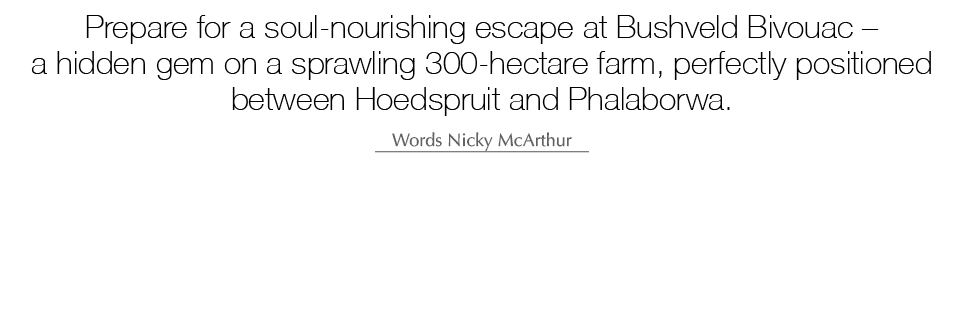Prepare for a soul nourishing escape at Bushveld Bivouac – a hidden gem on a sprawling 300 hectare farm, perfectly po...