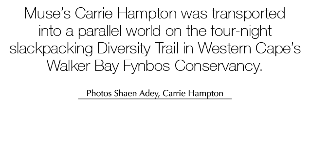Muse’s Carrie Hampton was transported into a parallel world on the four-night slackpacking Diversity Trail in Western...