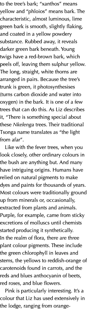 to the tree’s bark; “xanthos” means yellow and “phloios” means bark. The characteristic, almost luminous, lime green ...