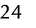 24