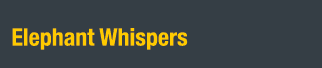 Elephant Whispers