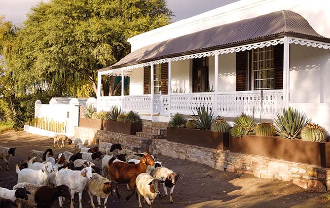 lifestyle interior photography