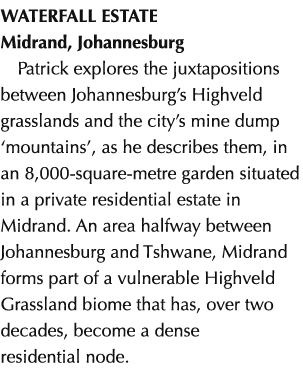WATERFALL ESTATE Midrand, Johannesburg Patrick explores the juxtapositions between Johannesburg’s Highveld grasslands...