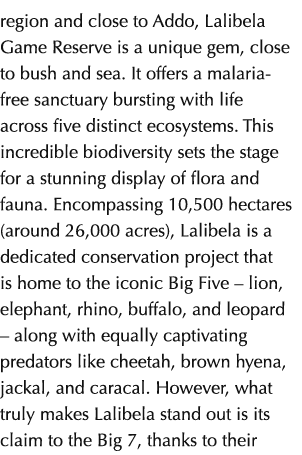 region and close to Addo, Lalibela Game Reserve is a unique gem, close to bush and sea. It offers a malaria free sanc...