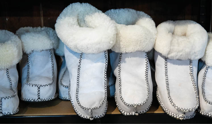 Karoo Winter Wool Festival 2024 by Samantha Reinders