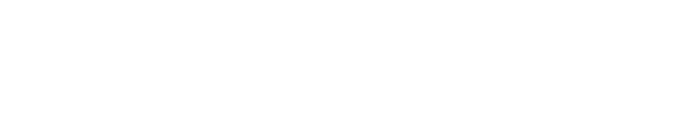 meet house nemo