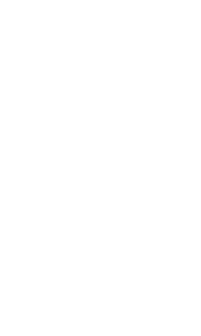 the intersection  of design   and   art  and activism