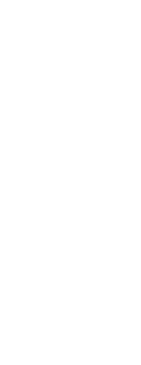 Pull Scar Loop Riders pass along the river and experience the splendour of the surrounding lush forest  Pull Scar Loo   