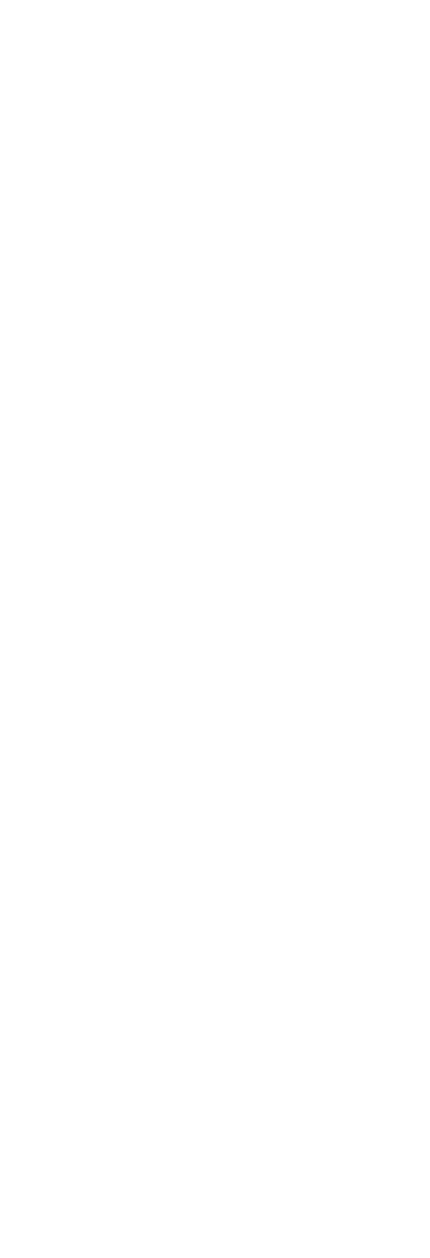 Rock and Roll   MTB Hike Run   Imagine riding a rollercoaster on your bike  This is what riding Rock and Roll will fe   