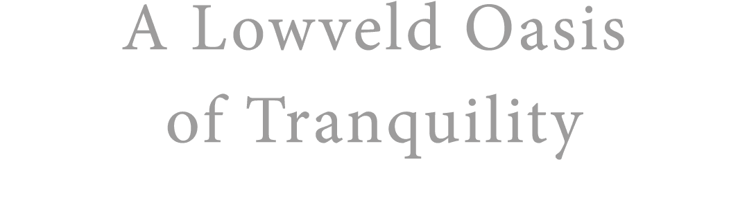 A Lowveld Oasis of Tranquility