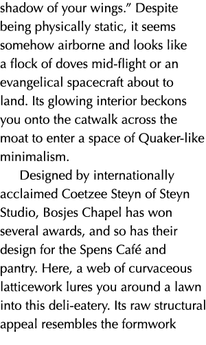 shadow of your wings   Despite being physically static, it seems somehow airborne and looks like a flock of doves mid   