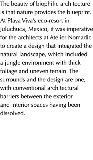 The beauty of biophilic architecture is that nature provides the blueprint  At Playa Viva s eco-resort in Juluchuca,    