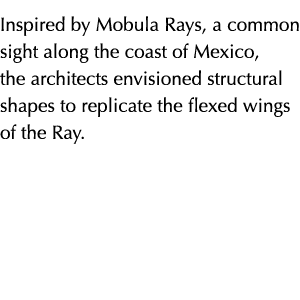 Inspired by Mobula Rays, a common sight along the coast of Mexico, the architects envisioned structural shapes to rep   
