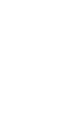 Sugarbird joins the rum revolution with its new four-year-old, Jamaican-style rum, infused with protea nectar  Triple   