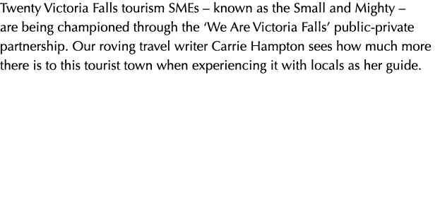 Twenty Victoria Falls tourism SMEs   known as the Small and Mighty   are being championed through the  We Are Victori   