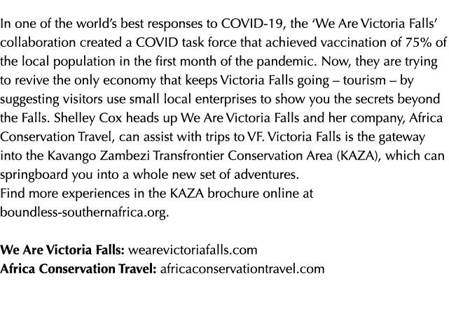 In one of the world s best responses to COVID-19, the  We Are Victoria Falls  collaboration created a COVID task forc   