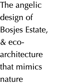 The angelic design of Bosjes Estate, & eco-architecture that mimics nature