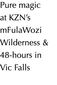 Pure magic at KZN s mFulaWozi Wilderness & 48-hours in Vic Falls