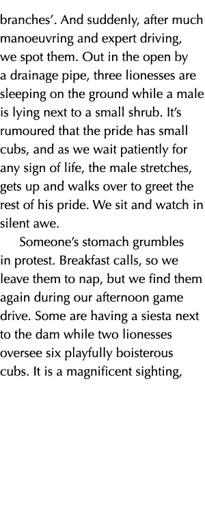 branches’. And suddenly, after much manoeuvring and expert driving, we spot them. Out in the open by a drainage pipe,...