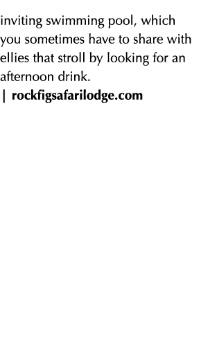 inviting swimming pool, which you sometimes have to share with ellies that stroll by looking for an afternoon drink. ...