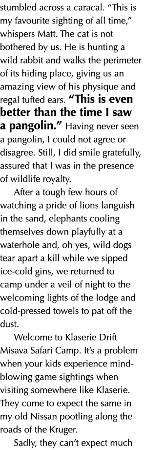 stumbled across a caracal. “This is my favourite sighting of all time,” whispers Matt. The cat is not bothered by us....