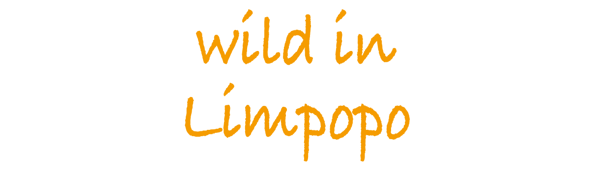 wild in Limpopo