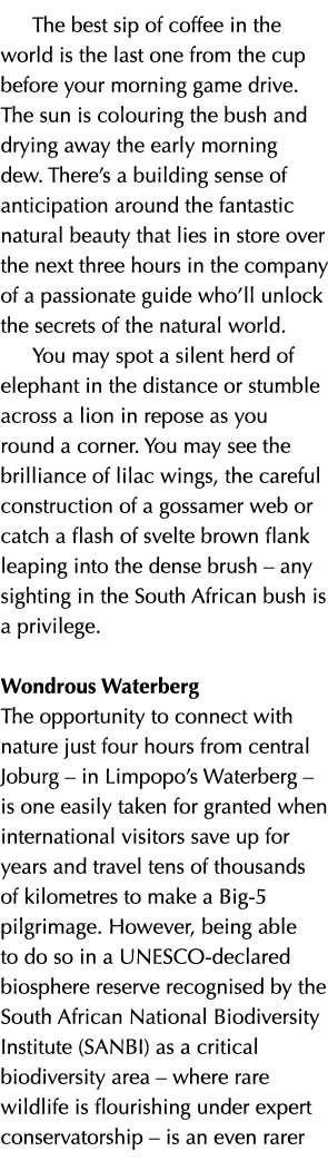 The best sip of coffee in the world is the last one from the cup before your morning game drive. The sun is colouring...